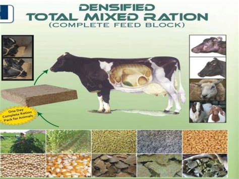 What Is Production Ration In Farm Animals